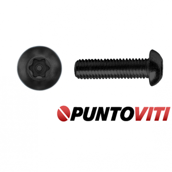 Viti Antisvitamento Testa Bombata Torx con Piolo simili DIN 7985 Zincatura / Brunitura Nera