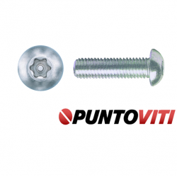 Viti di Sicurezza Metriche Antisvitamento Testa Bombata INOX Torx con Piolo