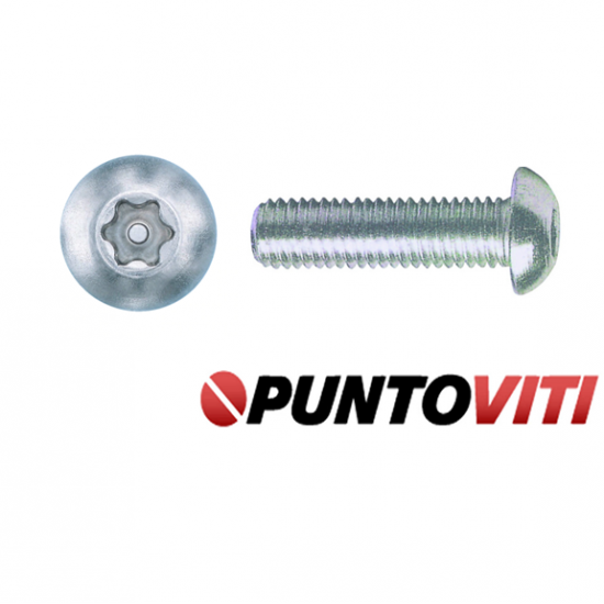 Viti di Sicurezza Metriche Antisvitamento Testa Bombata INOX Torx con Piolo