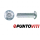 Viti di Sicurezza Metriche Antisvitamento Testa Bombata INOX Torx con Piolo