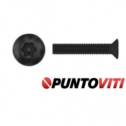 Viti Antisvitamento Testa Svasata Torx con Piolo simili DIN 965 UNI 7688 Zincatura / Brunitura Nera