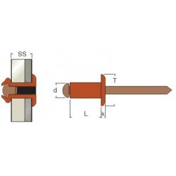 Rivetti Testa Cilindrica Rame / Bronzo