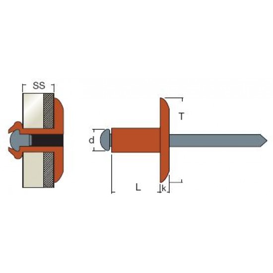 Rivetti Testa Larga Rame / Acciaio