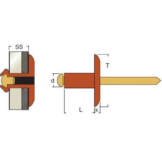 Rivetti Testa Larga Rame / Ottone