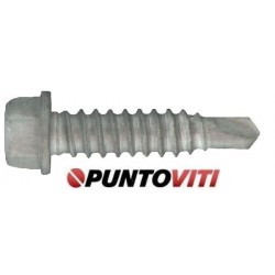 Viti Autoperforanti per Coperture Testa Esagonale Bimetallo foratura max 1mm