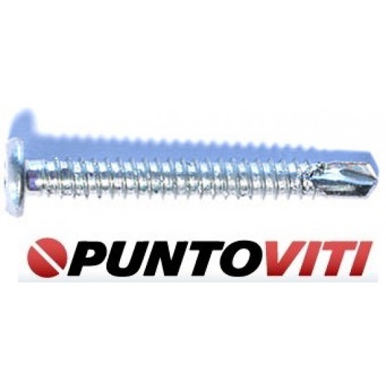 Viti Autoperforanti Testa Piatta Torx per Ferro