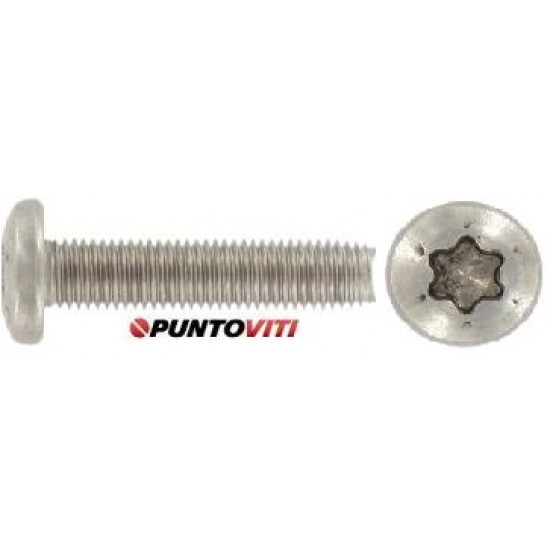 Viti Testa Cilindrica Automaschianti Torx Inox DIN7500C