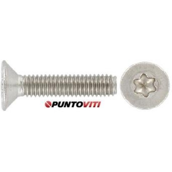 Viti Testa Svasata Piana Automaschianti Torx Inox DIN 7500M