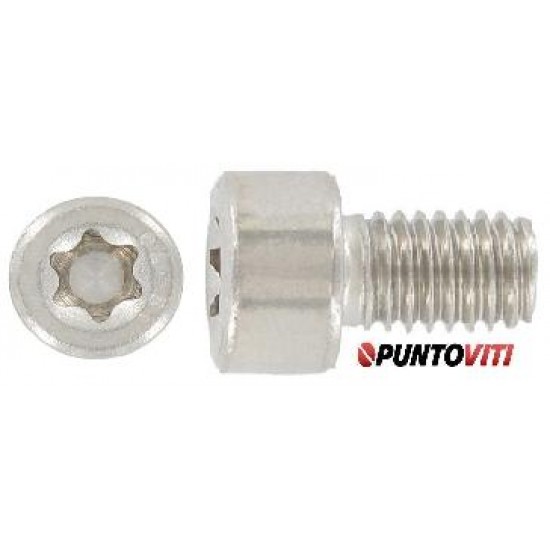 Viti Testa Cilindrica Alta Torx Inox ISO 14579