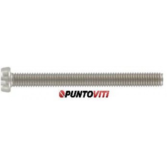 Viti Testa Cilindrica Inox DIN 84 -UNI 6107-ISO 1207