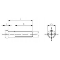 Viti Testa Cilindrica Ridotta A Taglio Inox DIN 920