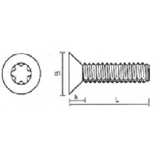 Viti Testa Svasata Torx Inox DIN 7991