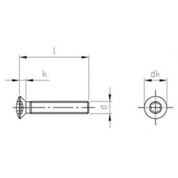 Viti Testa Svasata con Calotta Torx Inox DIN 966