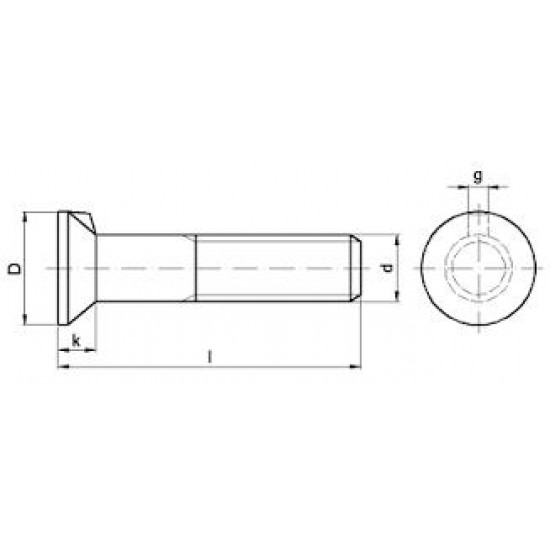 Vite Testa Svasata Con Nasello Inox DIN 604