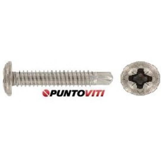 Viti Autoperforanti Testa Tonda Forma M Inox DIN 7504