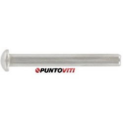 Ribattini Testa Cilindrica (Mezza Tonda) Inox DIN 660