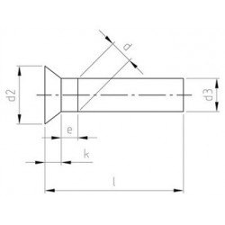 Ribattini Testa Svasata Piana Inox DIN 661