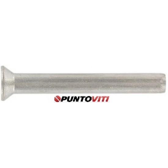 Ribattini Testa Svasata Piana Inox DIN 661