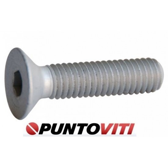 Viti a Testa Svasata Piana con Esagono Incassato in Alluminio Viti a Testa Svasata Piana con Esagono Incassato in Alluminio