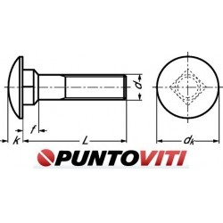 Viti a Testa Tonda con Quadro Sottotesta in Alluminio