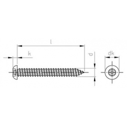 Viti di Sicurezza Autofilettante Testa bombata Torx con Piolo PV9122