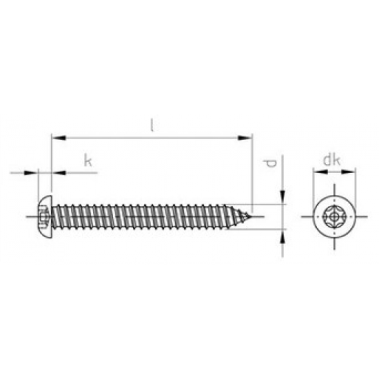 Viti di Sicurezza Autofilettante Testa bombata Torx con Piolo PV9122 Viti di Sicurezza Autofilettante Testa bombata Torx con Piolo PV9122
