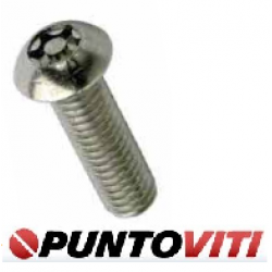 Viti di Sicurezza Autofilettante Testa bombata Torx con Piolo PV9122