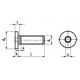 Viti Testa Cilindrica Larga Esagono Incassato Estremamente Ribassata