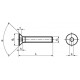 Viti Testa Svasata Piana Esagono Incassato Interamente Filettate UNI 5933 - DIN 7991