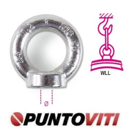 Golfari femmina FORGIATI acciaio inox A4 8242F Golfari femmina FORGIATI acciaio inox A4 8242F