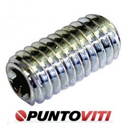 Viti Senza Testa / Grani Torx con Estremità a Coppa DIN 34827 CP ISO 4029