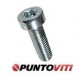 Viti Testa Cilindrica Bassa Torx ISO 14580 Viti Testa Cilindrica Bassa Torx ISO 14580