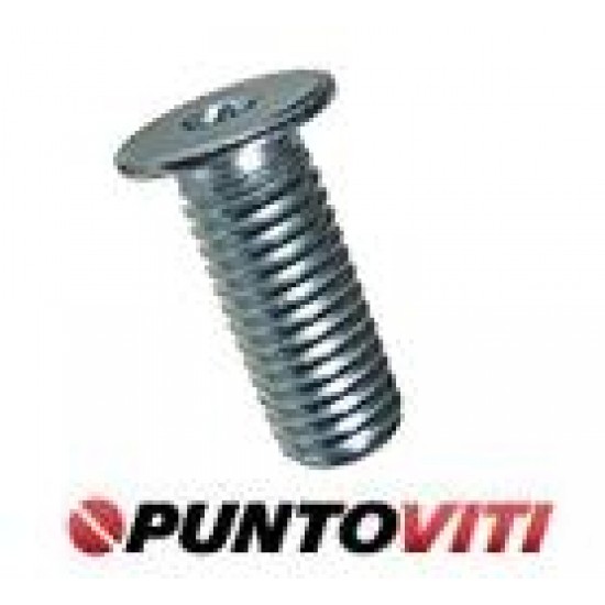Viti Testa Cilindrica Estremamente Ribassata Torx Viti Testa Cilindrica Estremamente Ribassata Torx