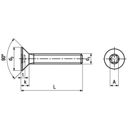 Viti Testa Svasata Piana Torx ISO 14581