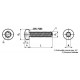 Viti Autoformanti Testa Bombata Torx DIN 7500C