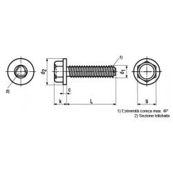Viti Autoformanti Testa Esagonale con Bordino DIN 7500D