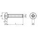 Microviti Testa a Bottone Torx ISO 7380-1