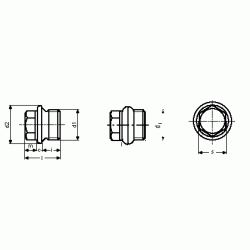 Tappi Testa Esagonale con Bordino Filettatura Gas DIN 910