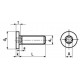 Viti Testa Cilindrica Estremamente Ribassata Torx