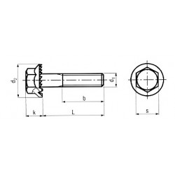 Viti Testa Esagonale con Flangia Dentellata Tipo R
