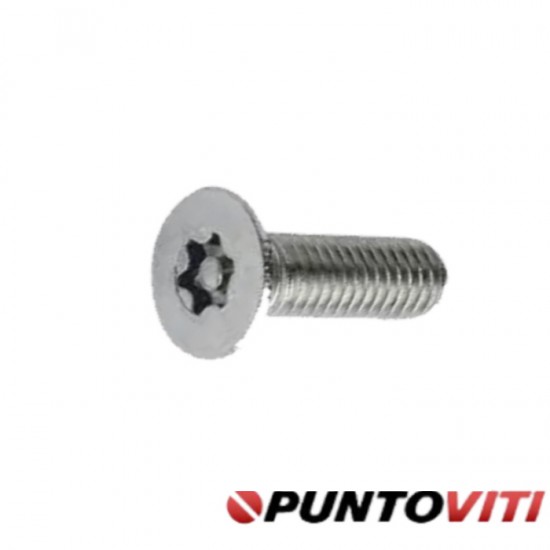 Viti Testa Cilindrica Estremamente Ribassata Torx Viti Testa Cilindrica Estremamente Ribassata Torx