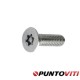 Viti Testa Cilindrica Estremamente Ribassata Torx Viti Testa Cilindrica Estremamente Ribassata Torx