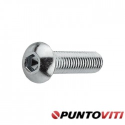 Microviti Testa a Bottone Torx ISO 7380-1