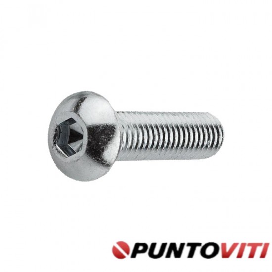 Microviti Testa a Bottone Torx ISO 7380-1