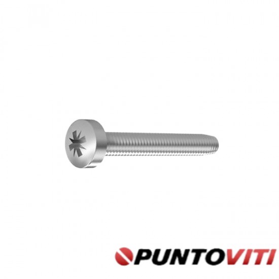 Viti Autoformanti Testa Bombata Torx DIN 7500C