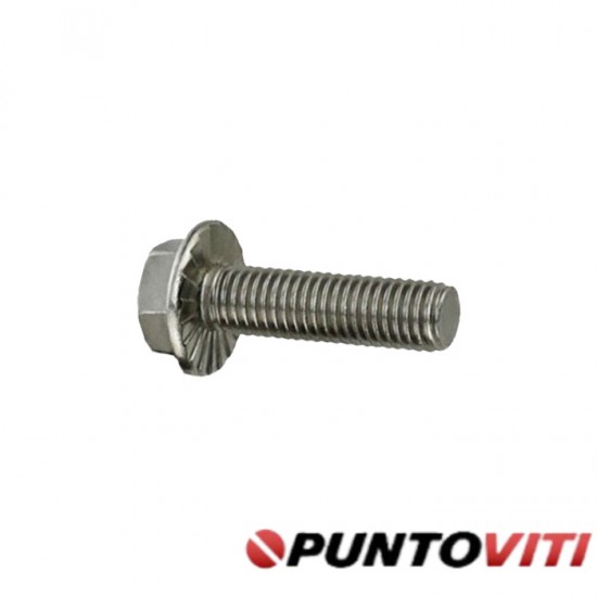 Viti Testa Esagonale Flangiata Dentellata Inox DIN 6921