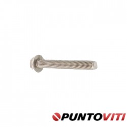 Viti Testa Esagonale Flangiata Liscia Inox DIN 6921